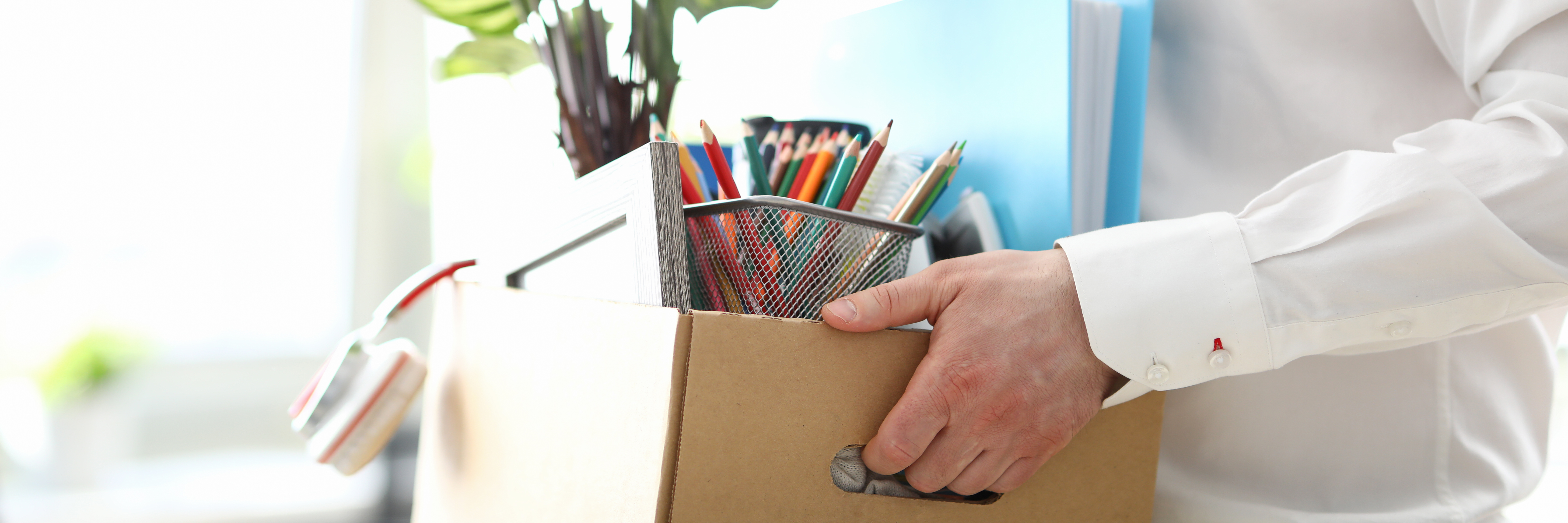 Close-up of carton box with documents, files and plant of fired worker.